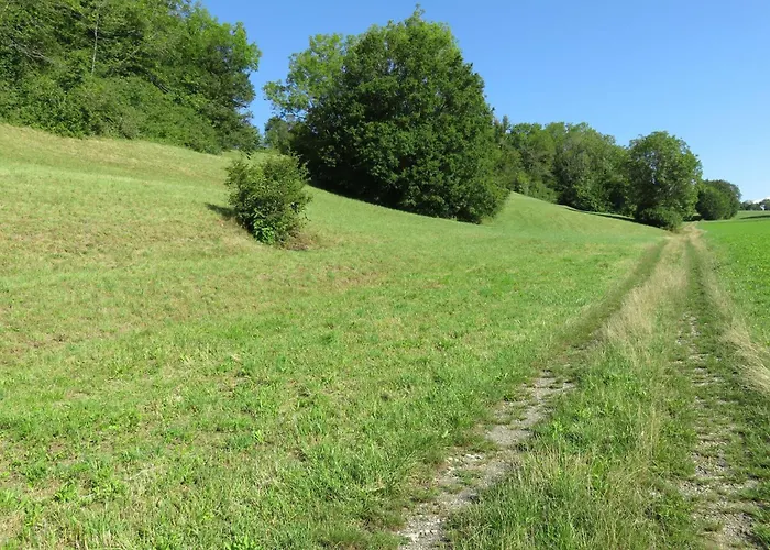 公寓 Haus Morgensonne *